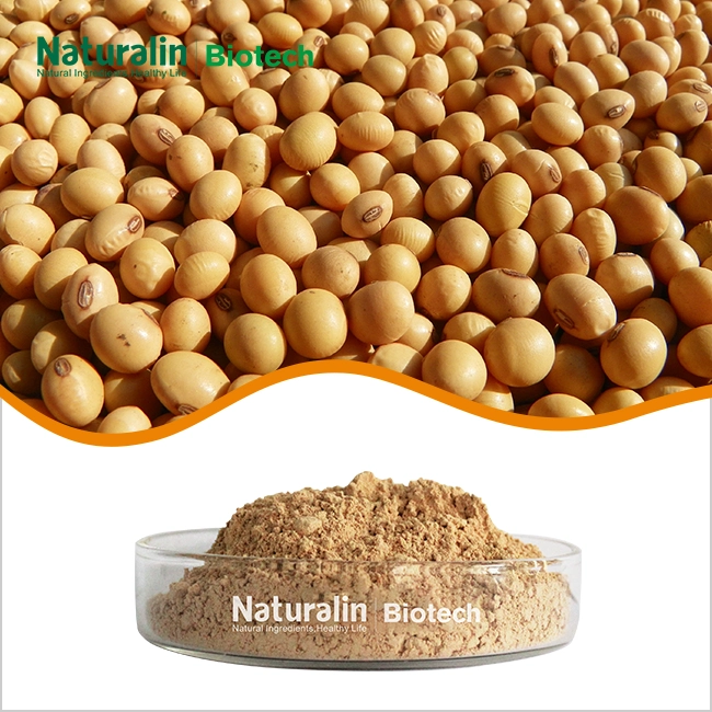 Soybean Extract Powder